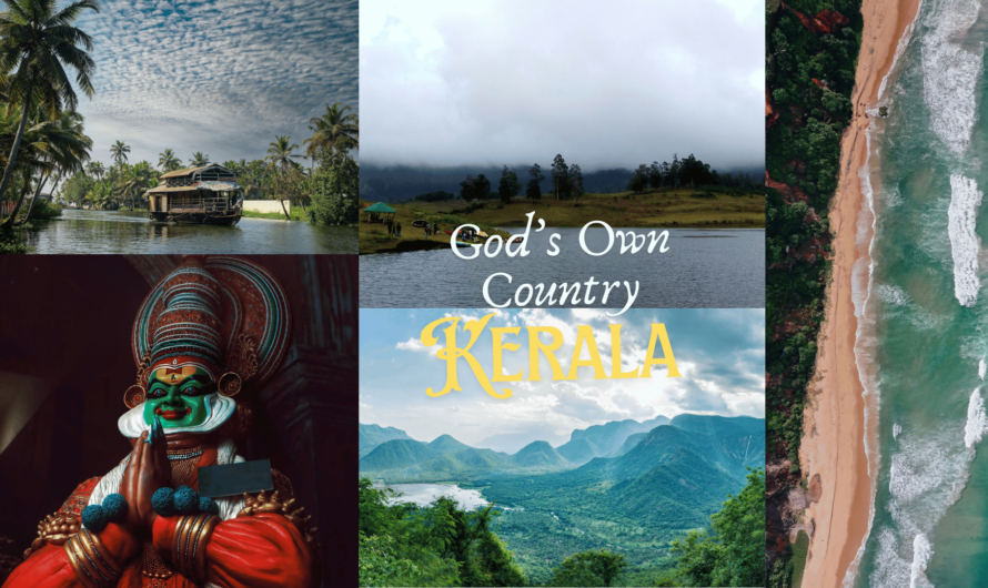 11+ Best Tourist attractions in Kerala from Munnar Kochi to Wayanad.