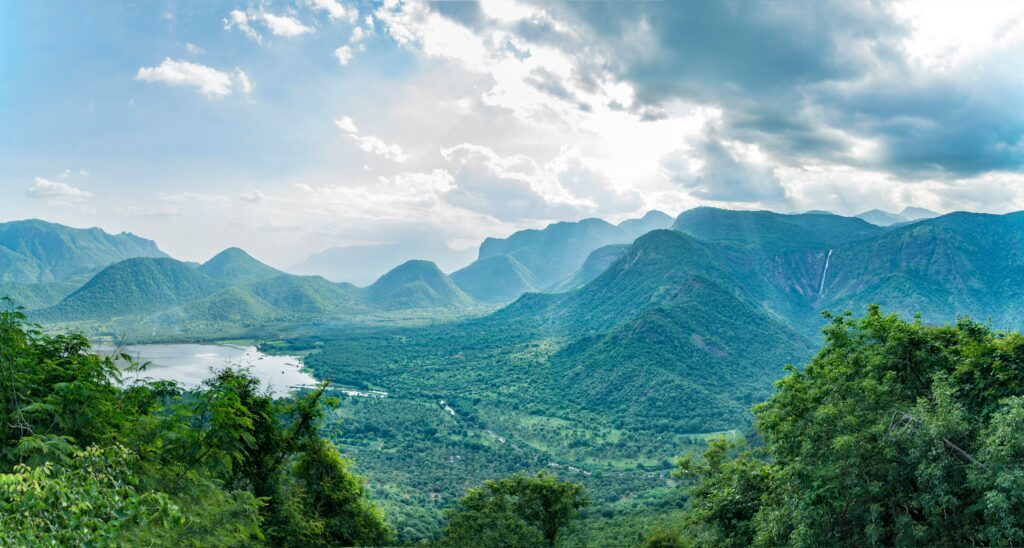 Photo of Hills and forests in KodaiKanal