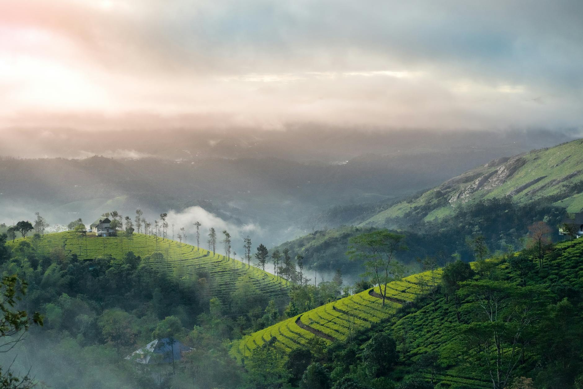 Beautiful Tea gardens and Hills of Munnar. This is Sunrise scene in Munnar, Kerala