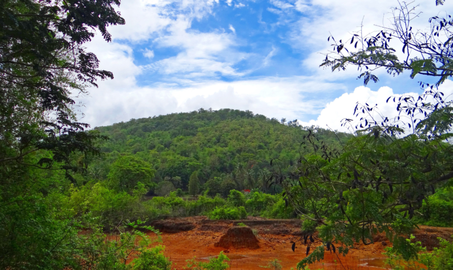 Top Places to Hangout Around Mumbai / Pune in Monsoon