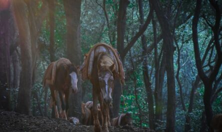 How to reach Matheran Hill Station: 4 Ways | Travel Heal