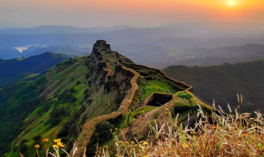 Rajgad Night Trek: Plan Your Adventure Here