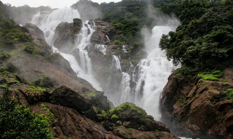 Chasing Waterfalls: My Adventurous Hiking in Goa