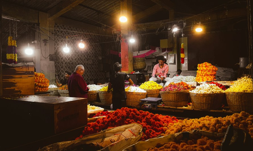 Goa Markets: My Experience Shopping Like a Local