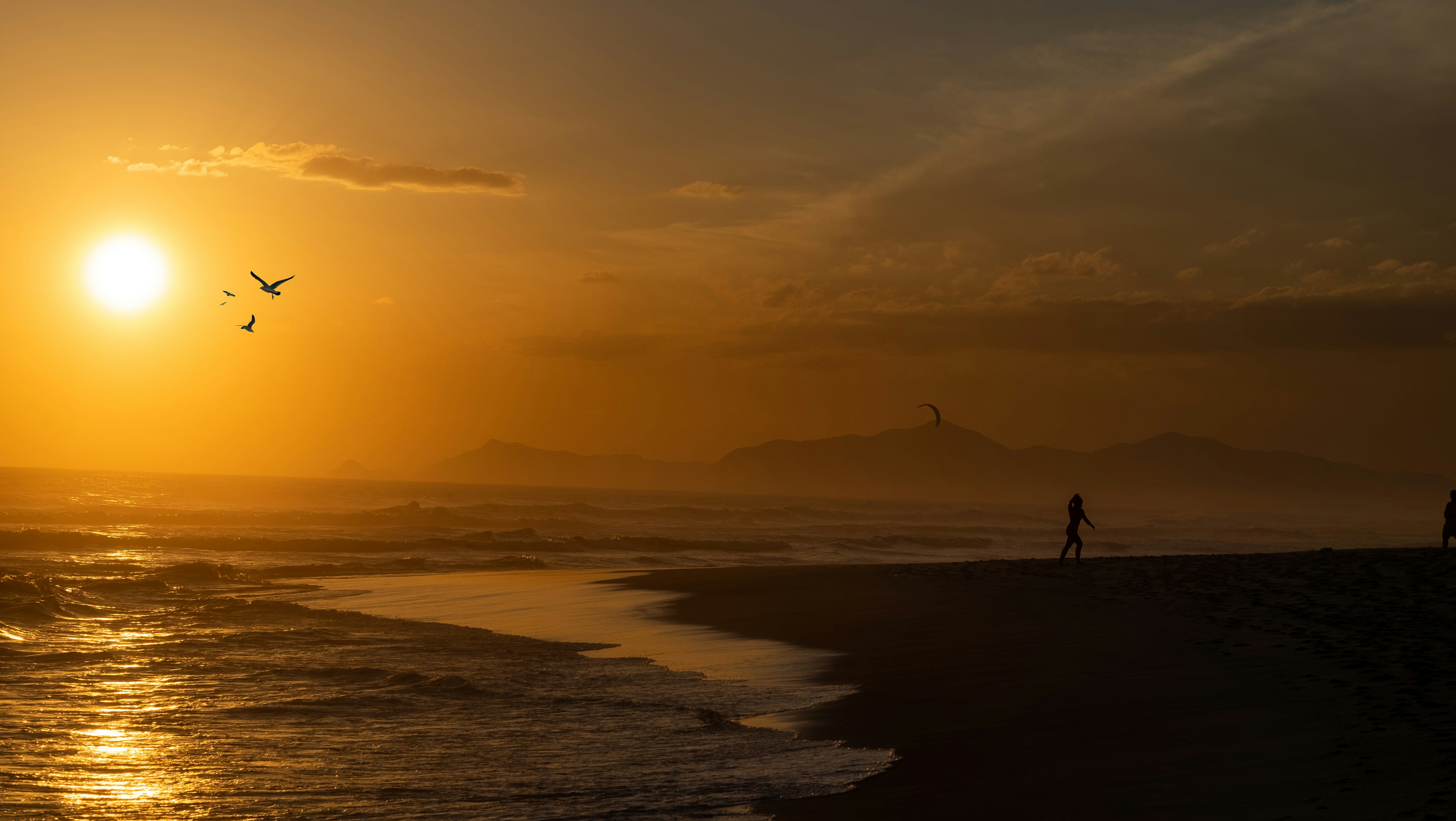 Goan Sunsets
