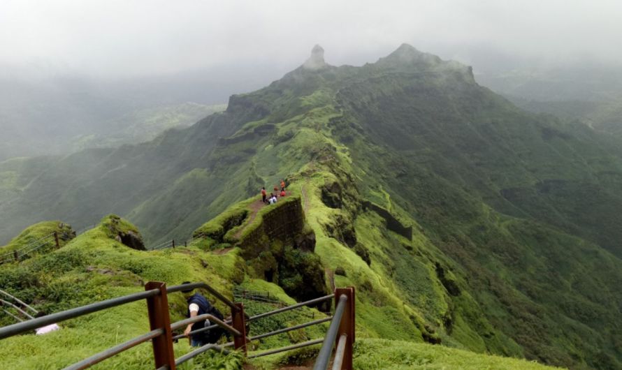 Rajgad to Torna Range Trek
