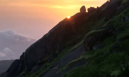 Trekking Mount Girnar at dawn: steps, temples, pink Brahmi blooms and misty peaks