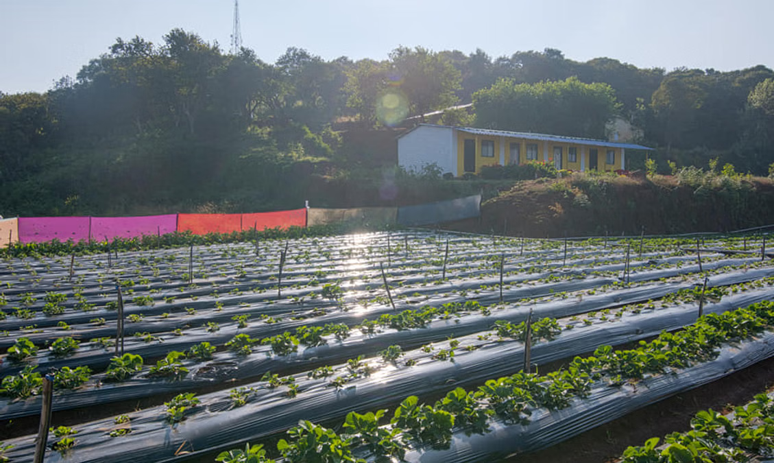 Mahabaleshwar Homestays